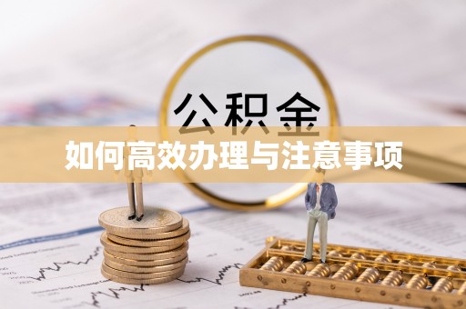 偃师如何高效办理与注意事项