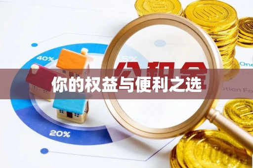 偃师你的权益与便利之选