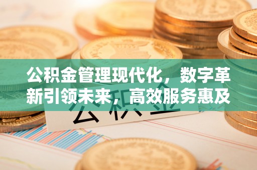偃师公积金管理现代化，数字革新引领未来，高效服务惠及民生