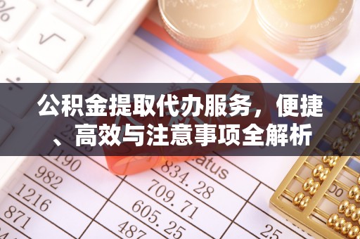 偃师公积金提取代办服务，便捷、高效与注意事项全解析