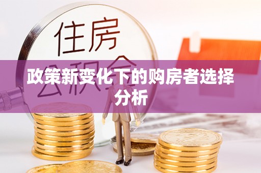 偃师政策新变化下的购房者选择分析