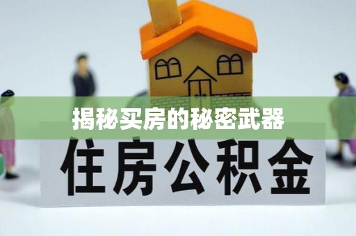 偃师揭秘买房的秘密武器