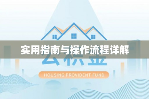 偃师实用指南与操作流程详解