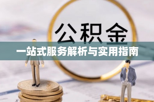偃师一站式服务解析与实用指南