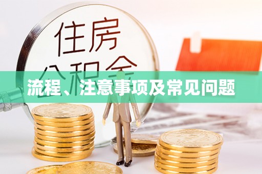 偃师流程、注意事项及常见问题