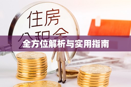 偃师全方位解析与实用指南